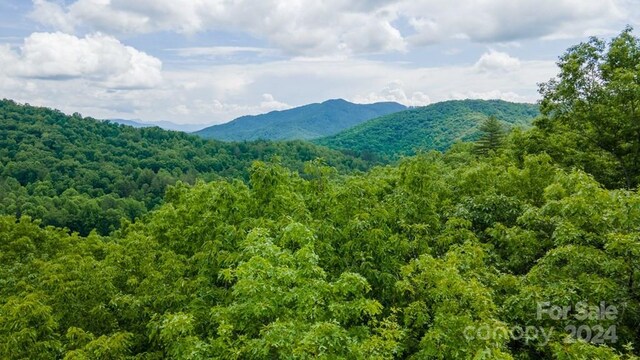 715 Anderson Creek Rd, Franklin, NC 28734 - photo 46