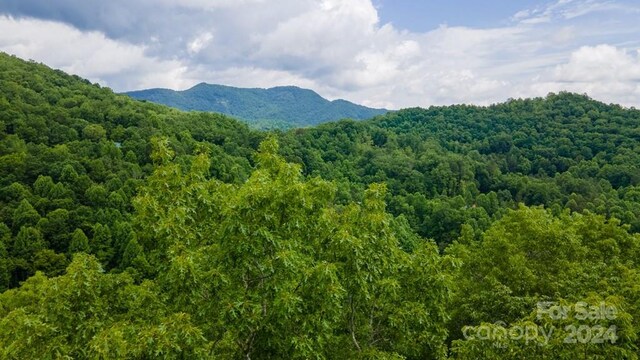 715 Anderson Creek Rd, Franklin, NC 28734 - photo 47