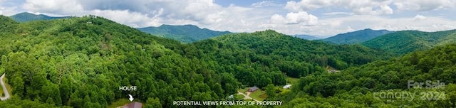 property view of mountains