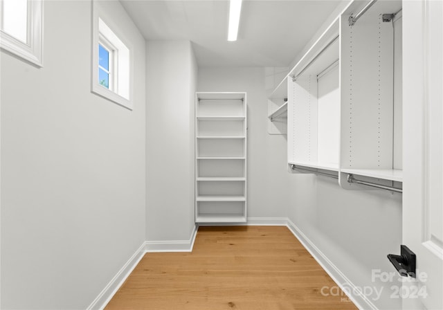 spacious closet with wood-type flooring