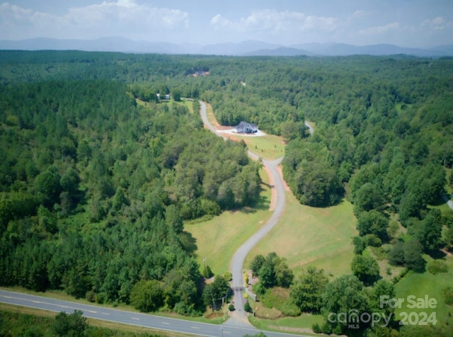 aerial view with a mountain view