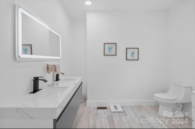 bathroom with vanity, toilet, and wood-type flooring