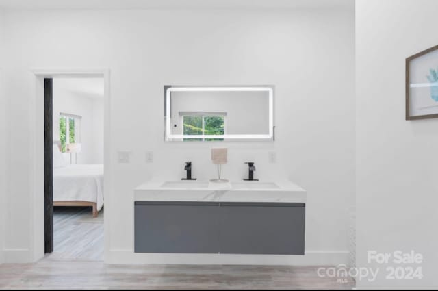 bathroom featuring vanity, wood-type flooring, and plenty of natural light