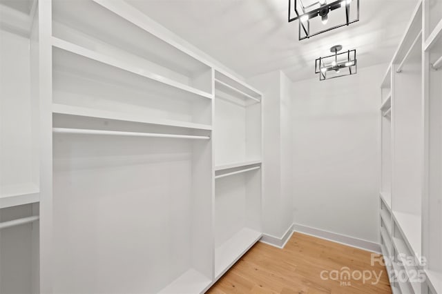 571 Lyttleton Dr, Charlotte, NC 28211 - spacious closet featuring light wood-style flooring