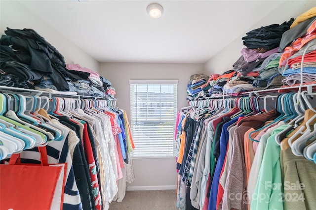 spacious closet with carpet