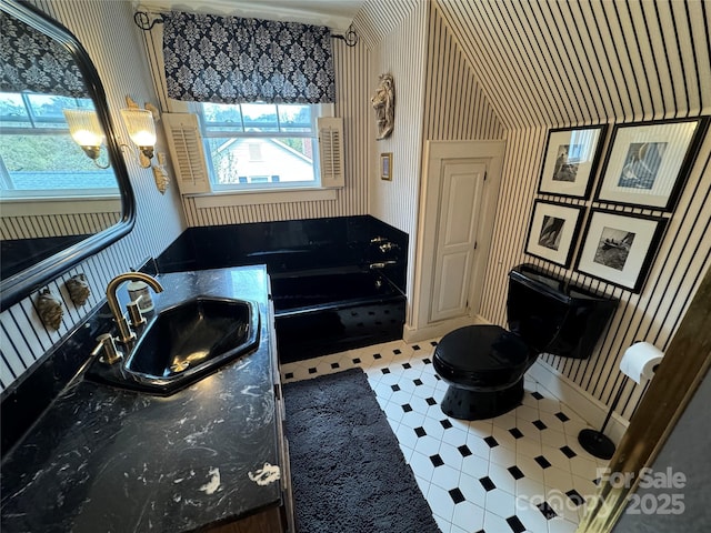 bathroom with vanity, a bath, and toilet