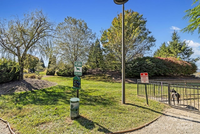 view of property's community featuring a lawn