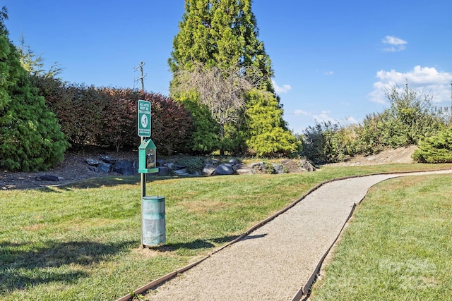 view of property's community with a yard