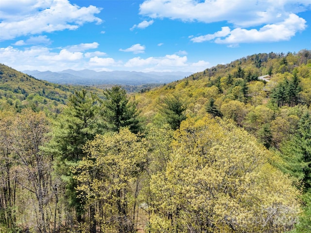 21 Villa Nova Dr Unit 4, Asheville NC, 28804 land for sale