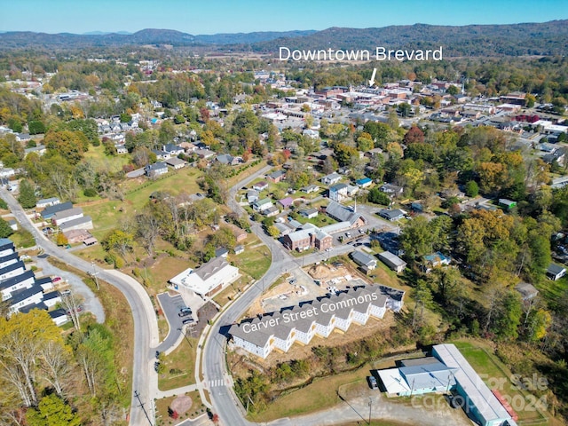 birds eye view of property with a mountain view