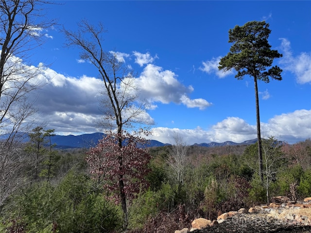 property view of mountains