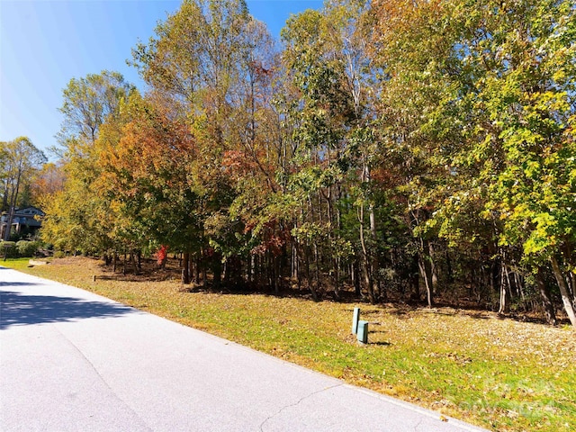 Listing photo 2 for 308 Piney Knoll Ln Unit 189, Hendersonville NC 28739