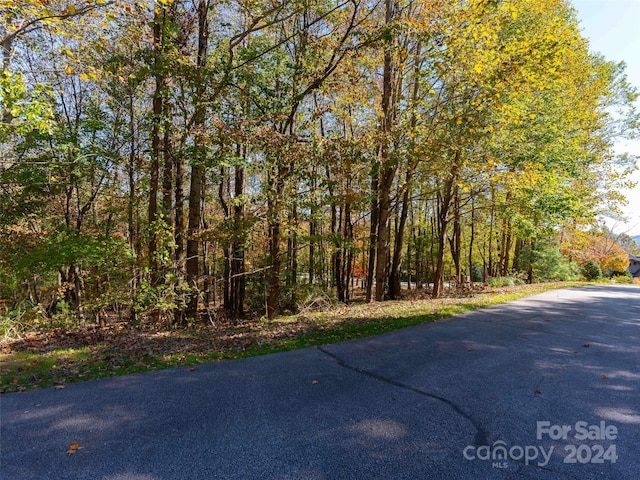 308 Piney Knoll Ln Unit 189, Hendersonville, NC 28739