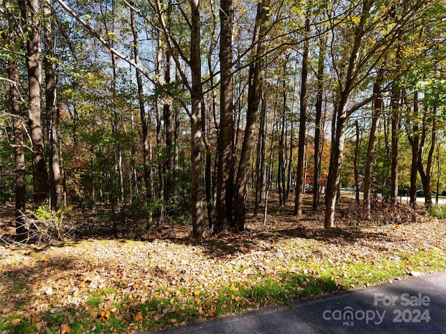 308 Piney Knoll Ln Unit 189, Hendersonville NC, 28739 land for sale