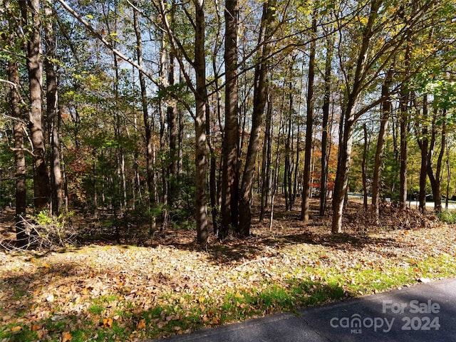 308 Piney Knoll Ln Unit 189, Hendersonville, NC 28739