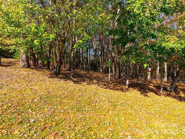 308 Piney Knoll Ln Unit 189, Hendersonville, NC 28739