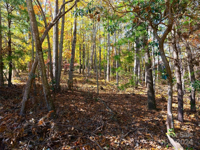 308 Piney Knoll Ln Unit 189, Hendersonville, NC 28739