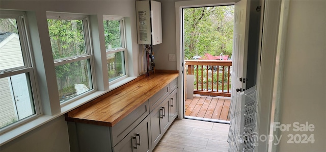 doorway with water heater, light hardwood / wood-style flooring, and a healthy amount of sunlight