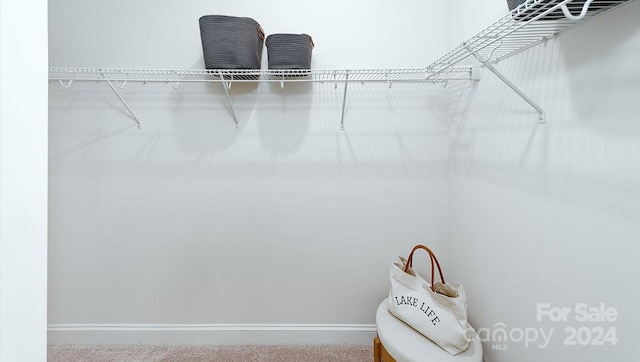 spacious closet with carpet