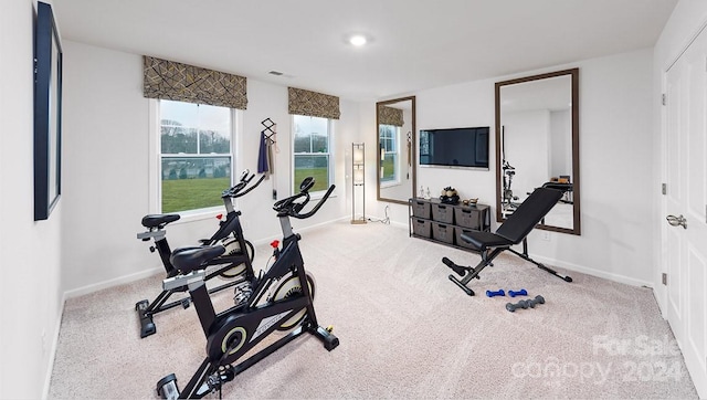 exercise room featuring light carpet