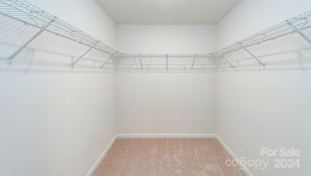 walk in closet featuring carpet