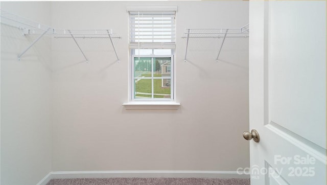 view of walk in closet