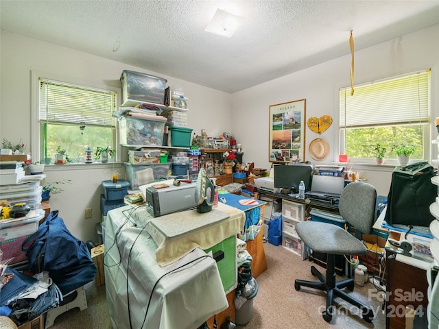 carpeted home office with a textured ceiling