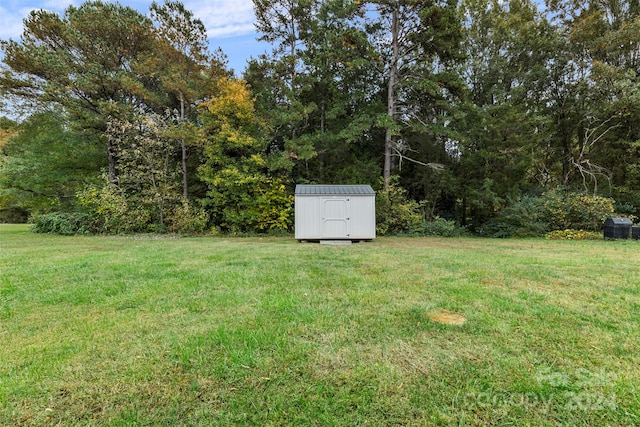 view of yard featuring a shed