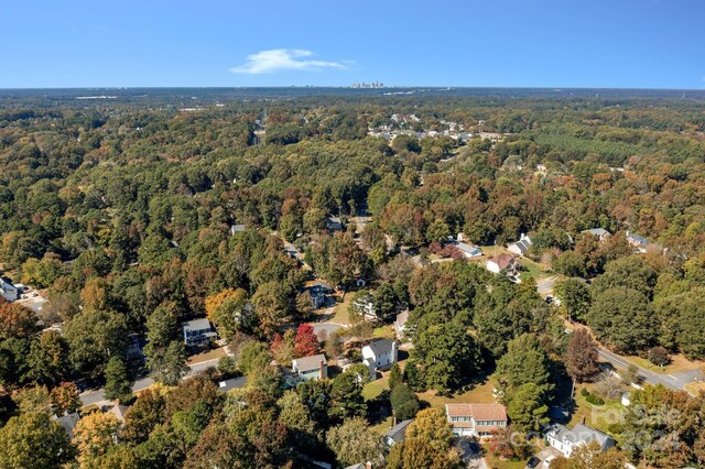 bird's eye view