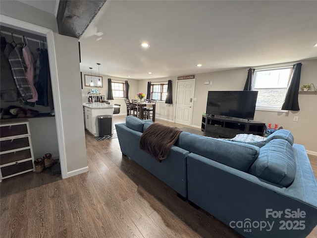 living room featuring hardwood / wood-style flooring