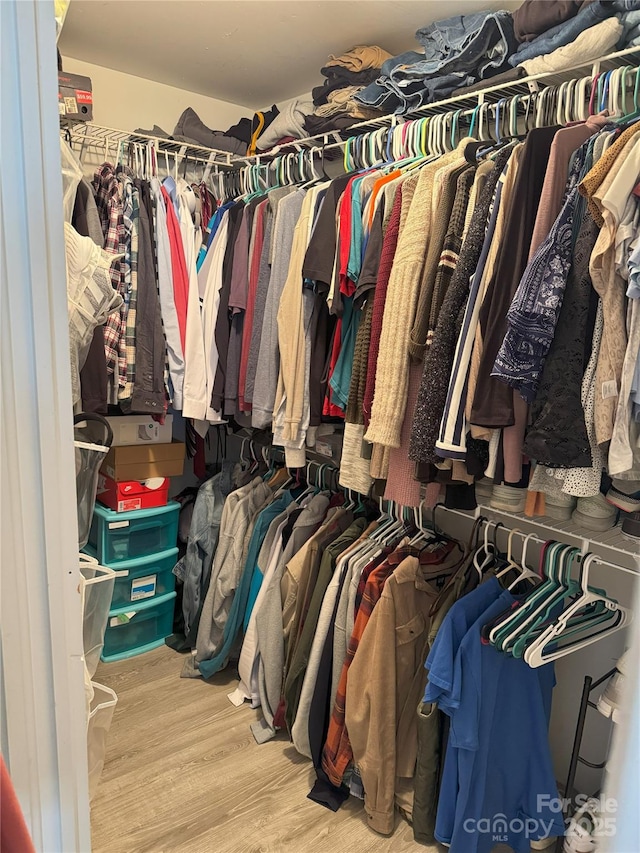 walk in closet with light hardwood / wood-style flooring