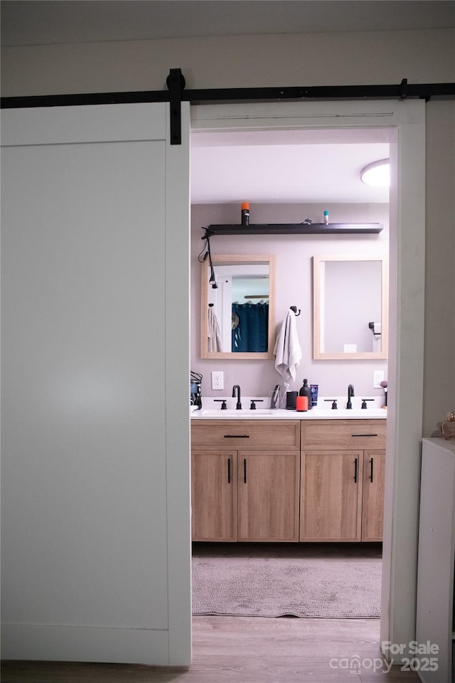 bathroom featuring vanity and wood-type flooring