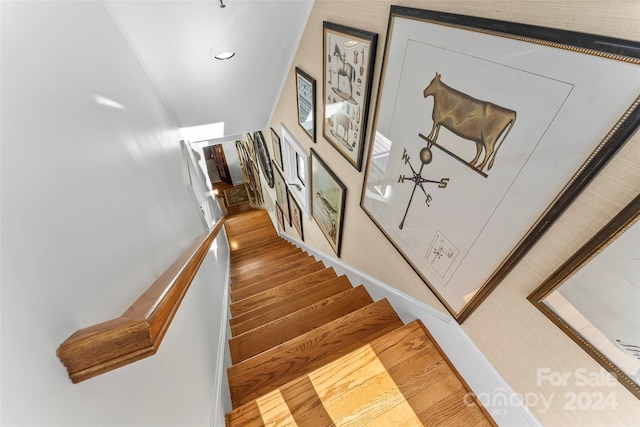 staircase featuring wood-type flooring