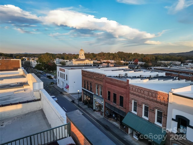 bird's eye view