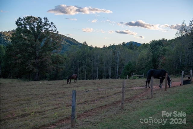 view of mountain feature featuring a rural view