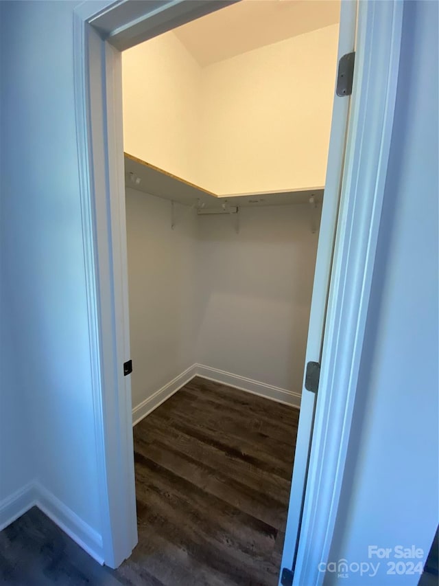 walk in closet featuring dark hardwood / wood-style flooring