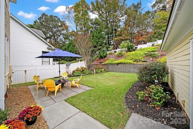 view of yard with a patio area