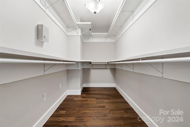 spacious closet featuring dark hardwood / wood-style flooring