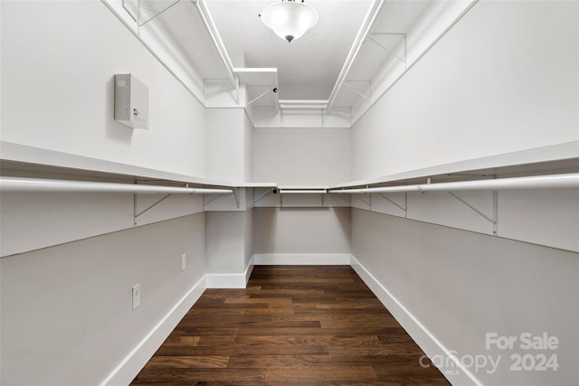 spacious closet featuring wood finished floors