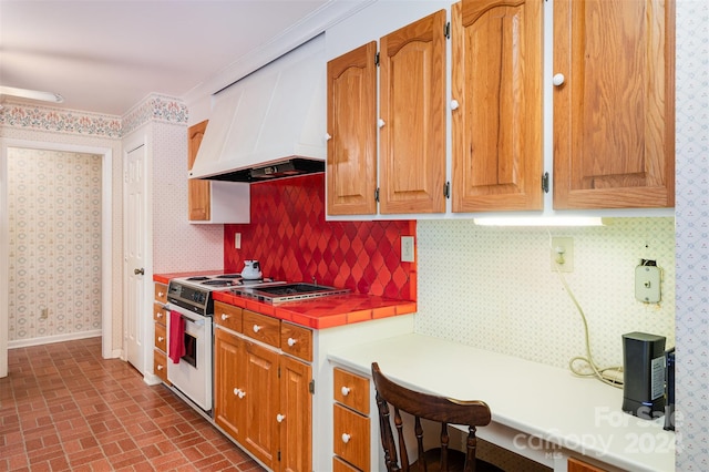 kitchen featuring gas stove, tasteful backsplash, and custom exhaust hood