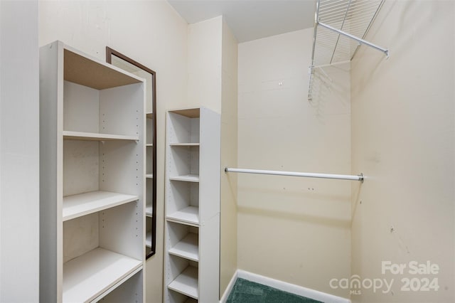 spacious closet featuring carpet flooring