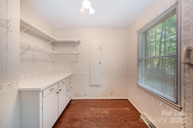 walk in closet with dark wood-type flooring