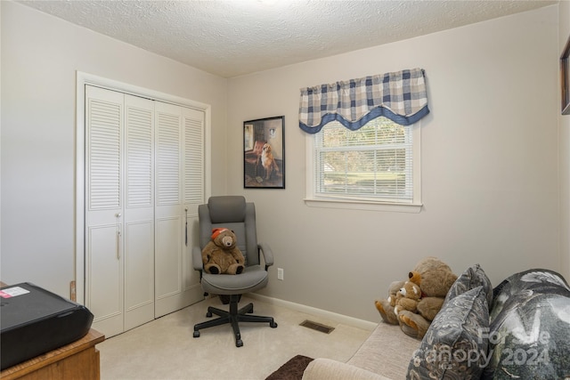 sitting room featuring light carpet and a textured ceiling