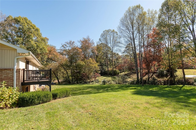 view of yard featuring a deck