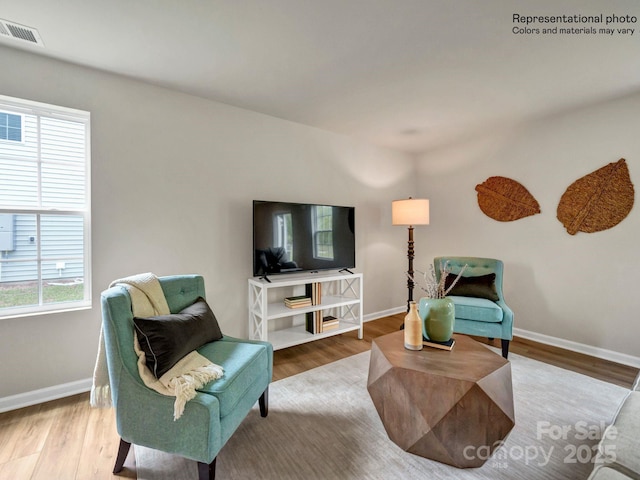 living room featuring wood-type flooring