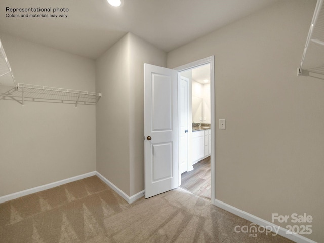 walk in closet with carpet flooring