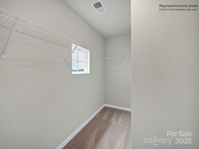 spacious closet with carpet flooring