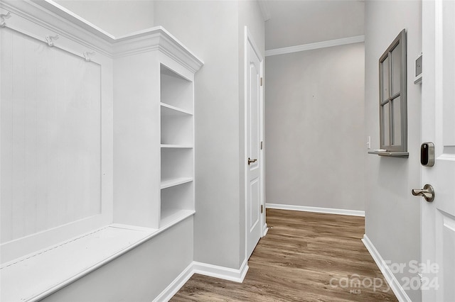 spacious closet featuring dark hardwood / wood-style floors