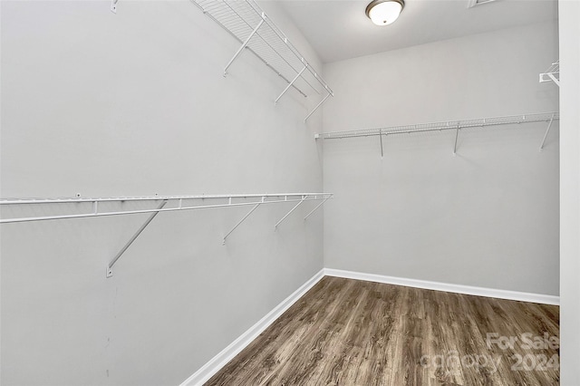 walk in closet with dark hardwood / wood-style flooring