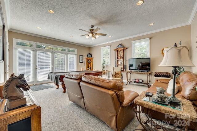 carpeted living room featuring a textured ceiling and a wealth of natural light